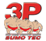 3P_Logo